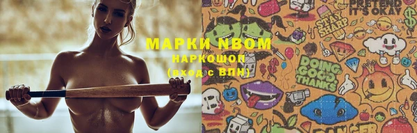 трава Аркадак